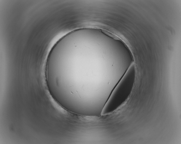 X0000114001152200910021025
