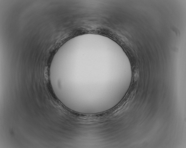 X0000114001156200910021025