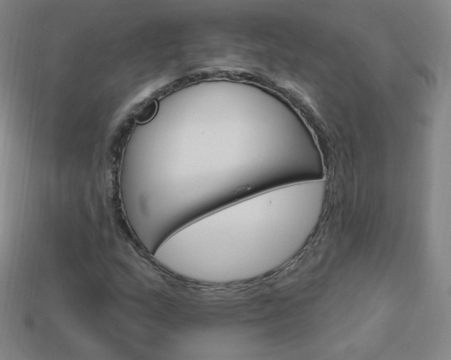 X0000114001159200910021025