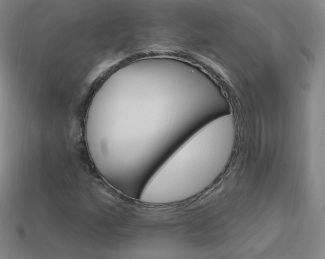 X0000114001160200910021025