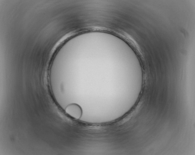 X0000114001182200910021024