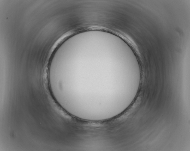 X0000114001190200910021024