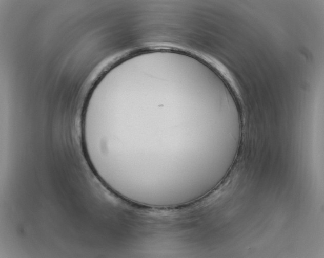 X0000114001191200910021024