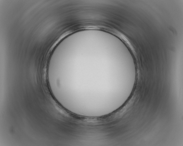X0000114001194200910021024