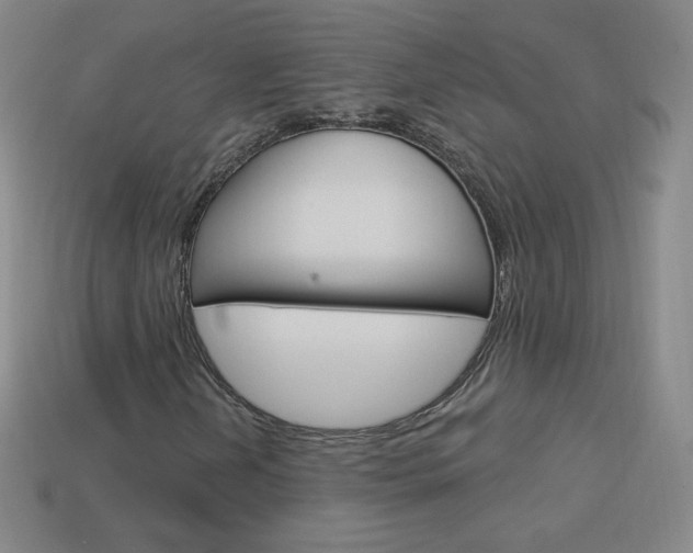 X0000114001202200910021023