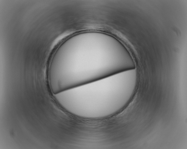 X0000114001222200910021024
