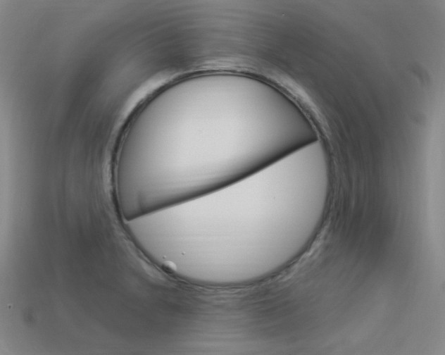 X0000114001230200910021024