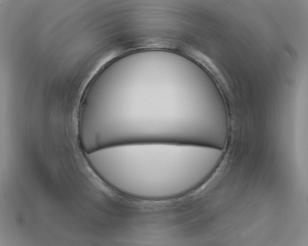 X0000114001236200910021024