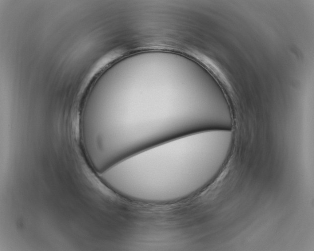 X0000114001238200910021024