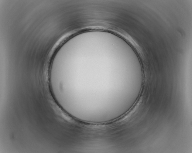 X0000114001240200910021024