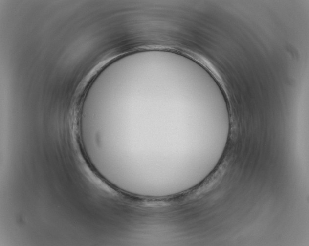 X0000114001243200910021024