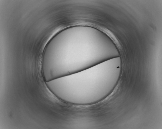 X0000114001244200910021024