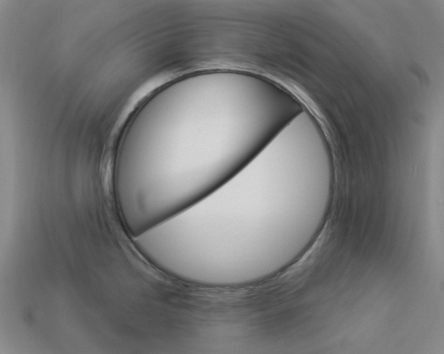 X0000114001246200910021024