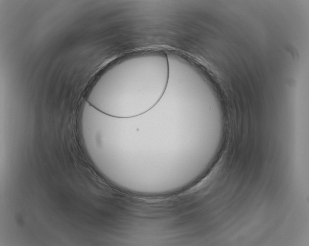 X0000114001257200910021023