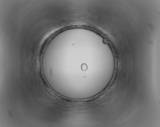 X0000114001262200910021023