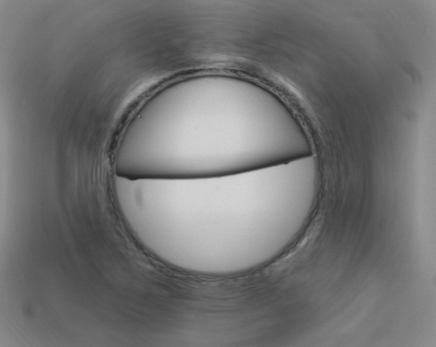X0000114001267200910021023