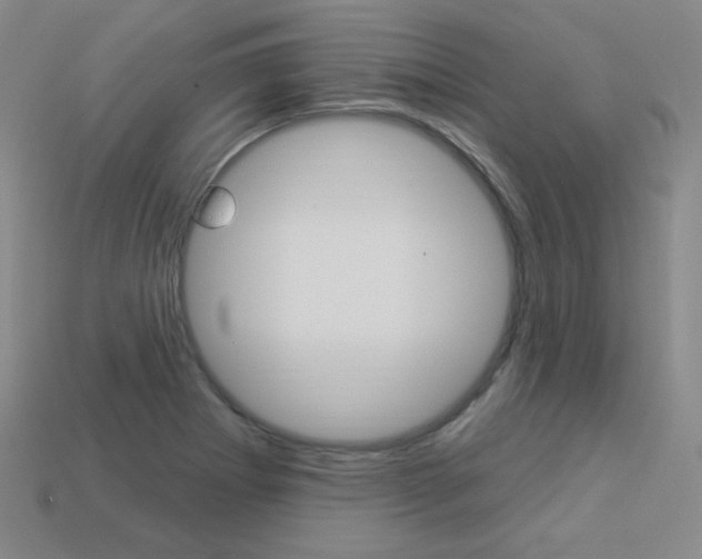 X0000114001273200910021023