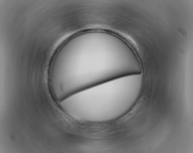 X0000114001279200910021023