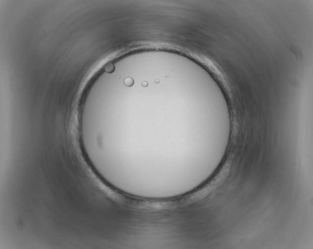 X0000114001286200910021023