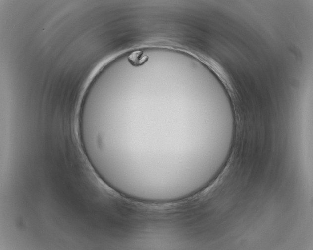 X0000114001288200910021023