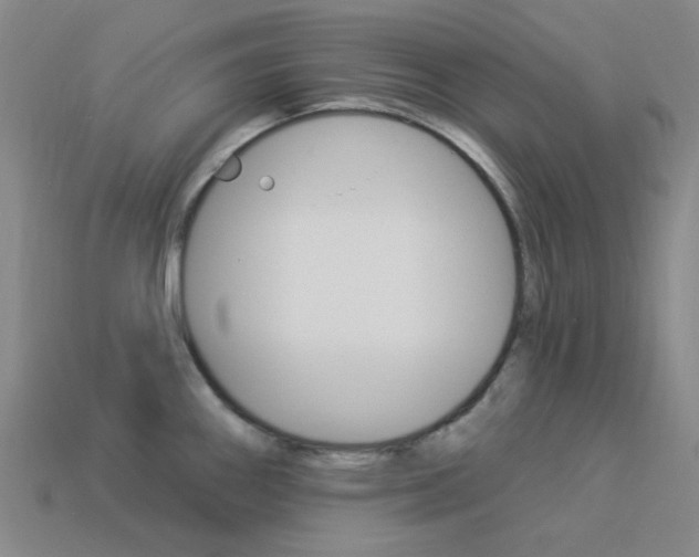 X0000114001290200910021023