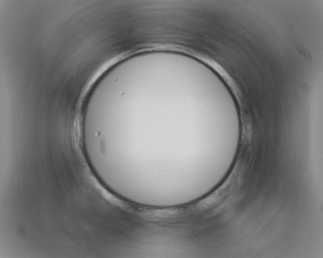 X0000114001294200910021023