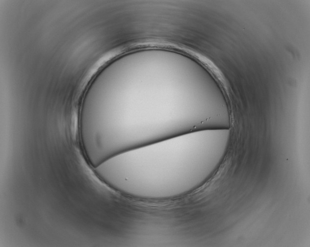 X0000114001295200910021023