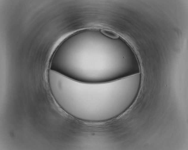 X0000114001296200910021023