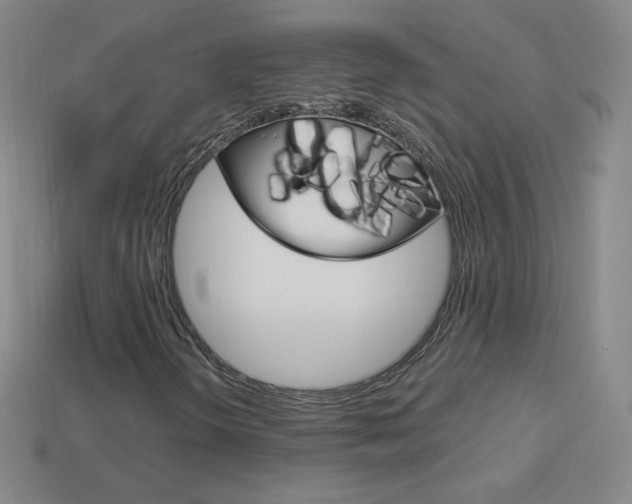 X0000114001298200910021022