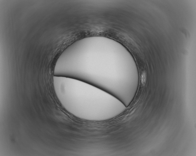 X0000114001299200910021022