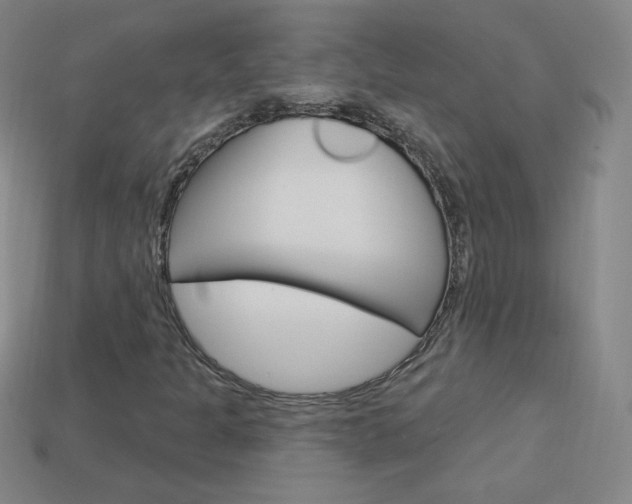 X0000114001301200910021022