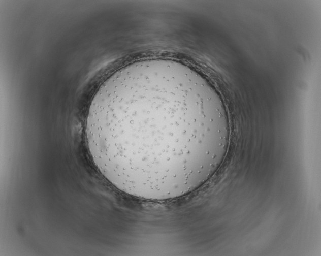 X0000114001302200910021022