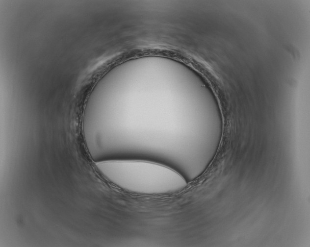 X0000114001303200910021022