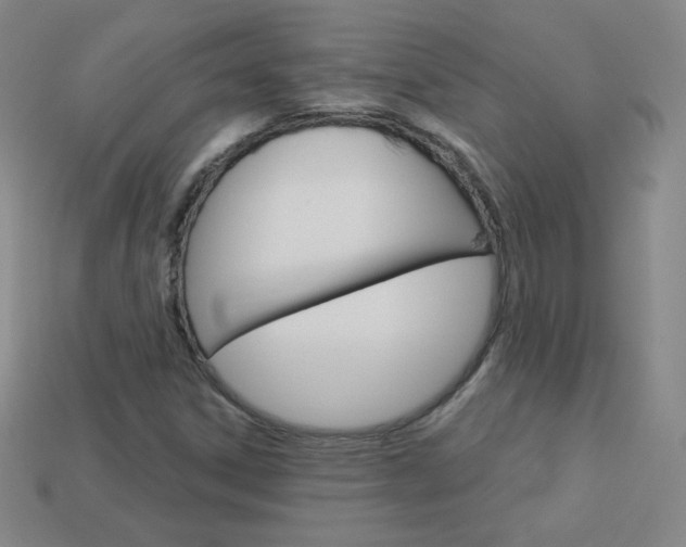 X0000114001306200910021022
