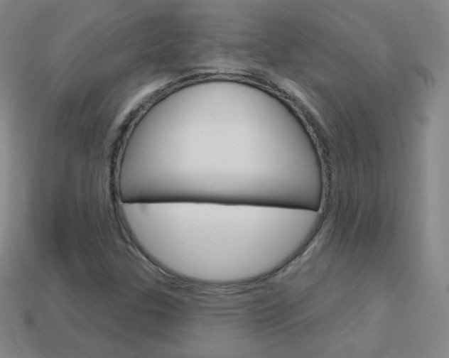 X0000114001307200910021022