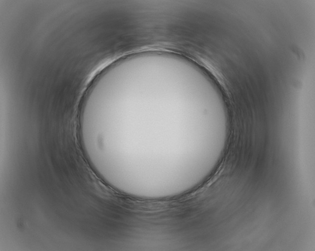 X0000114001308200910021022