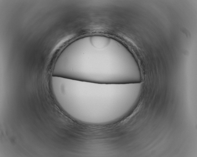 X0000114001309200910021022