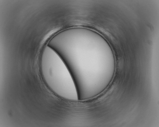 X0000114001317200910021022