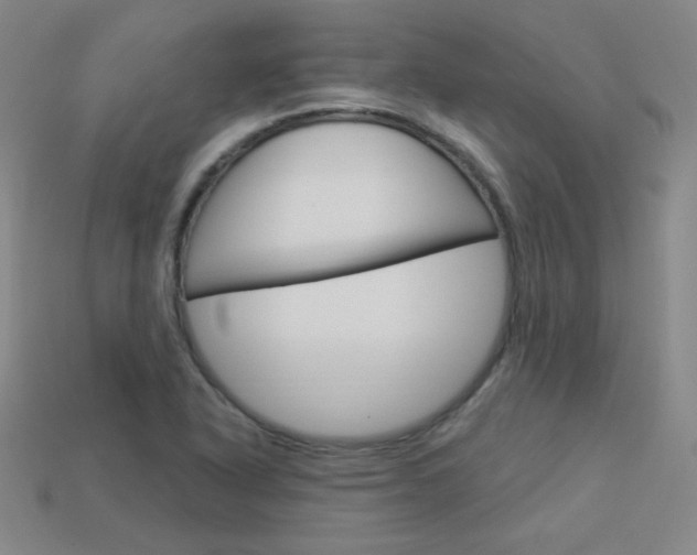X0000114001318200910021022