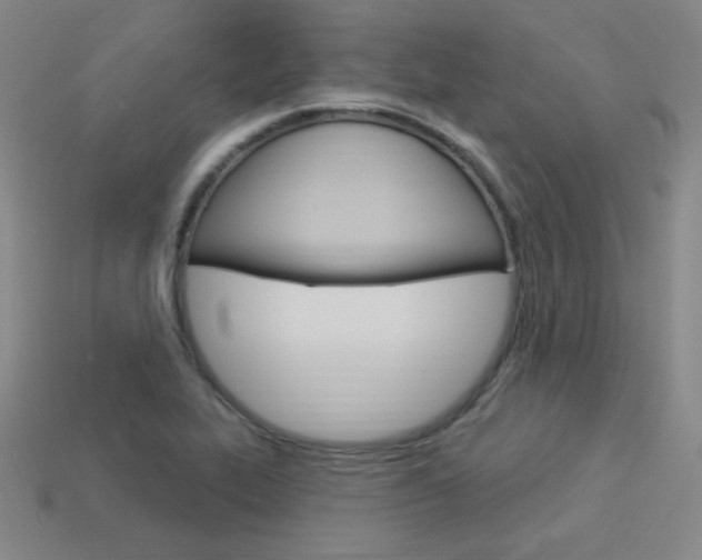 X0000114001319200910021022