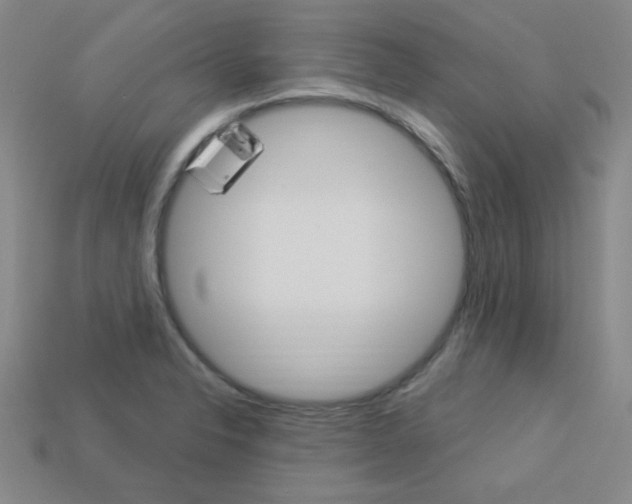 X0000114001326200910021022