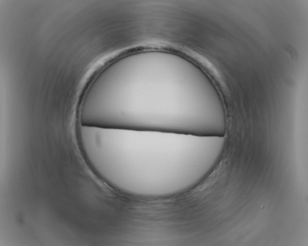 X0000114001327200910021022