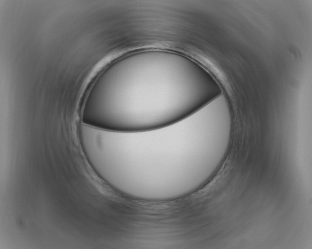 X0000114001332200910021022