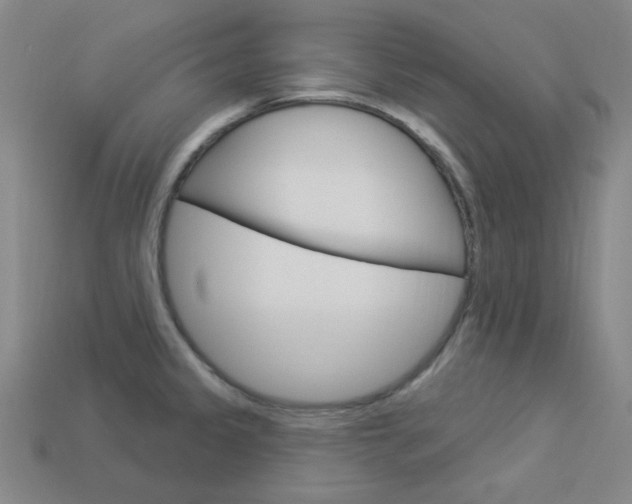 X0000114001333200910021022