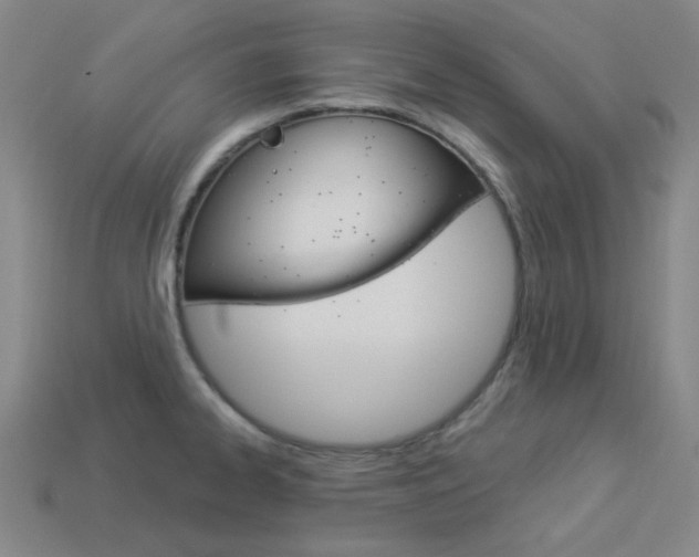 X0000114001334200910021022