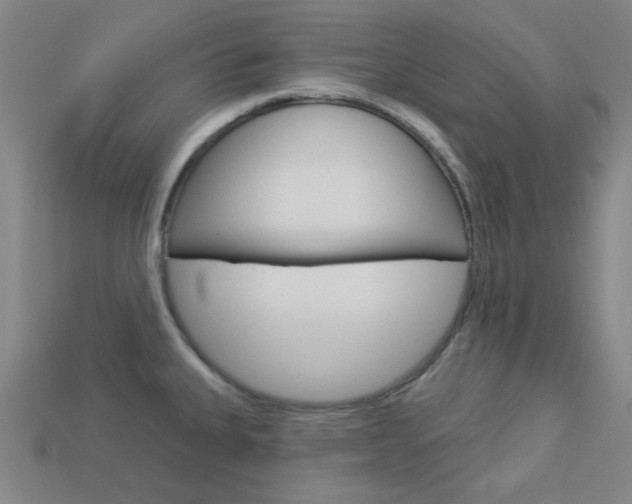 X0000114001335200910021022