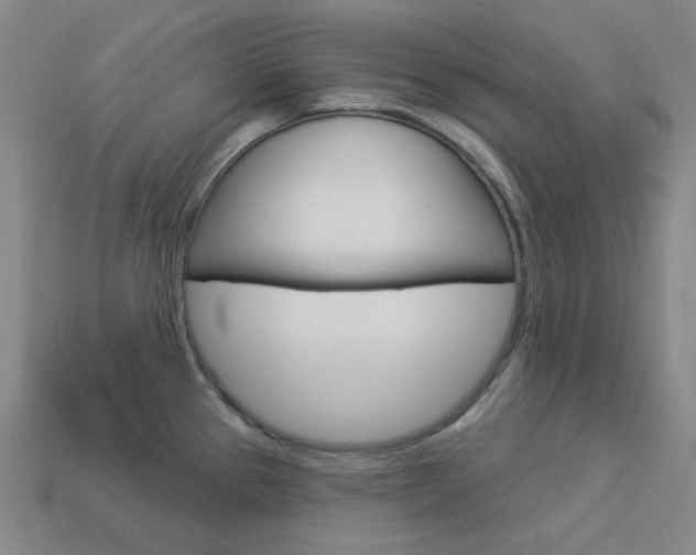 X0000114001337200910021022