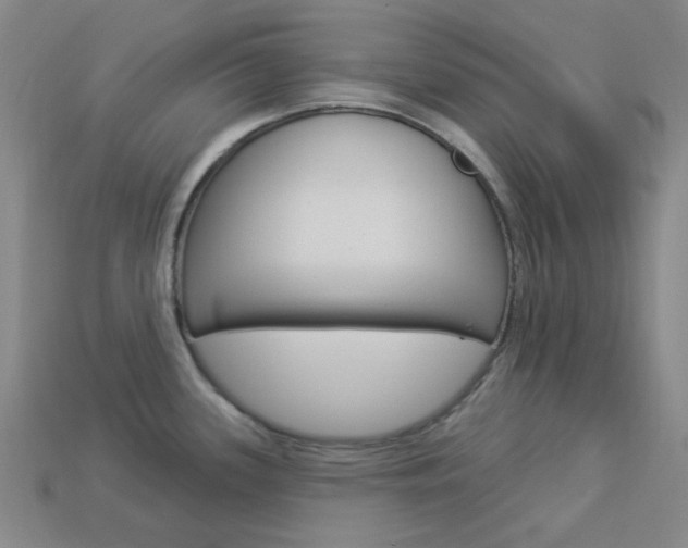 X0000114001339200910021023
