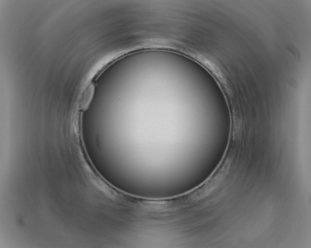 X0000114001342200910021023