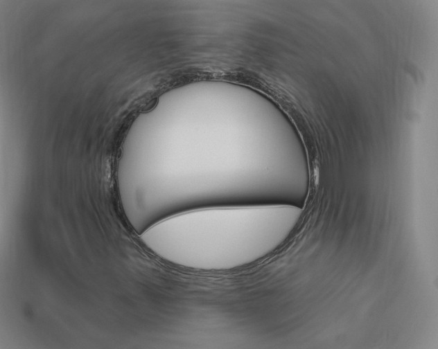 X0000114001347200910021022